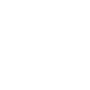 Guitars Etc